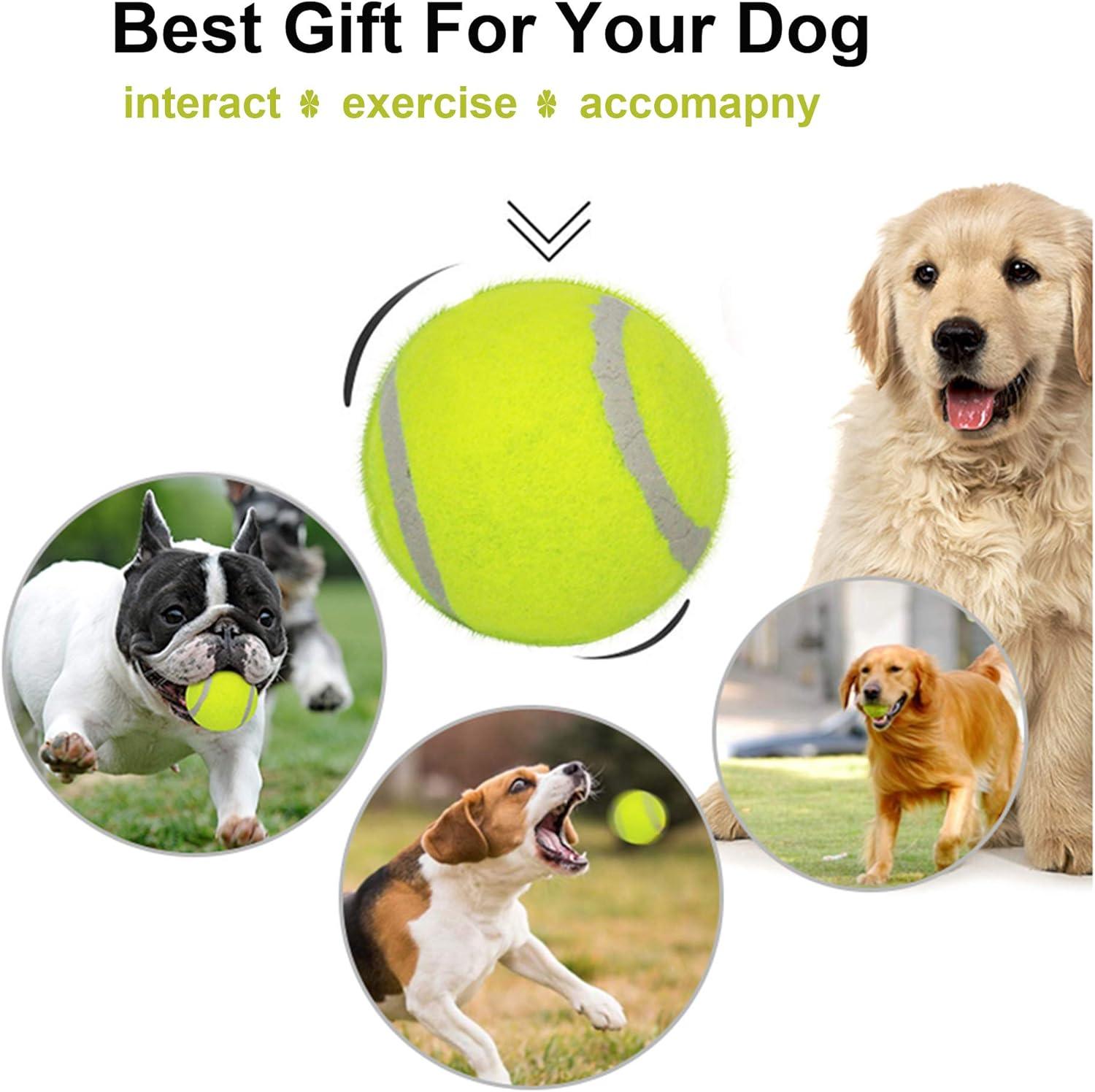2 inch tennis balls clearance