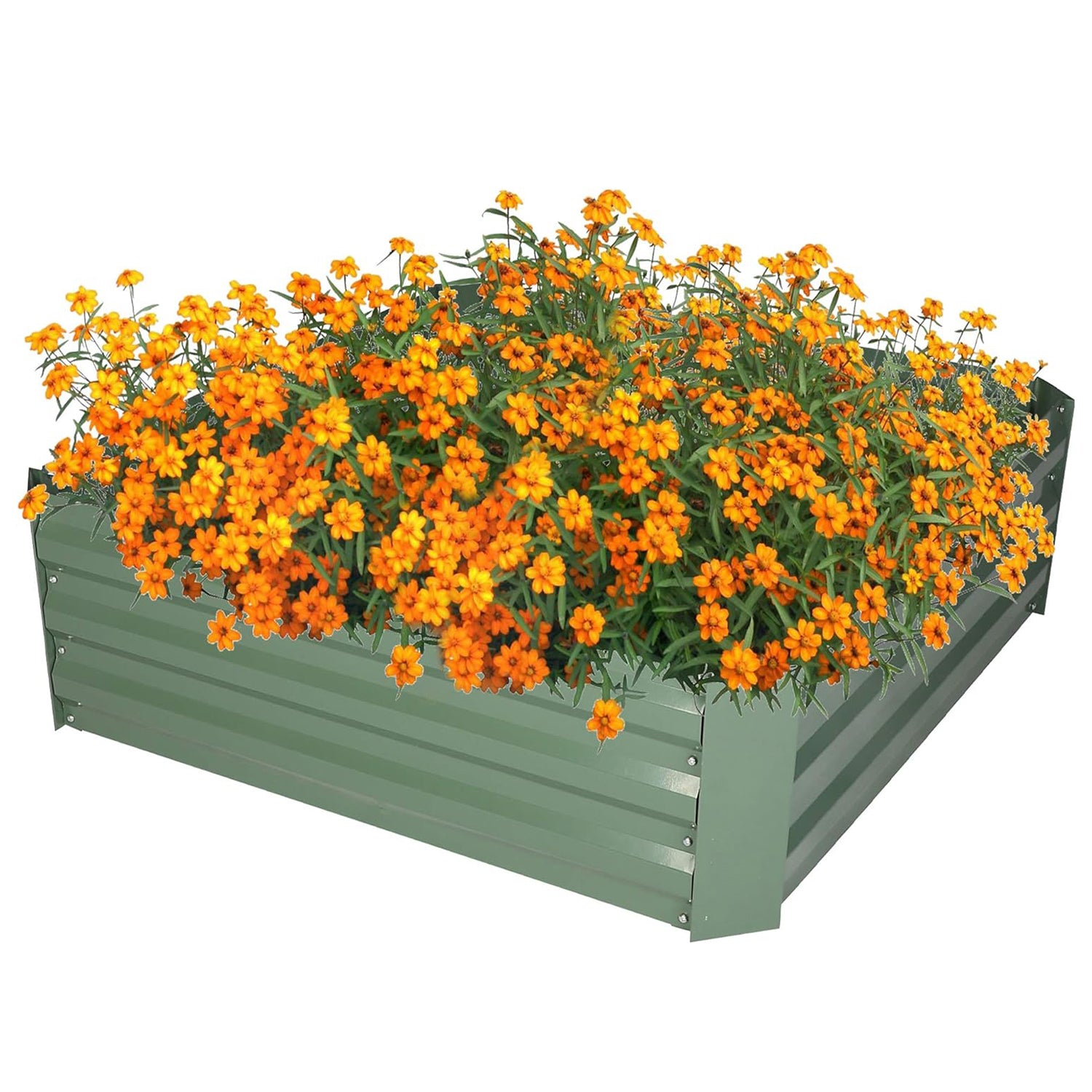 32"x32"x12" Raised Garden Bed Galvanized Planter Box Anti-Rust Coating Planting Vegetables Herbs and Flowers