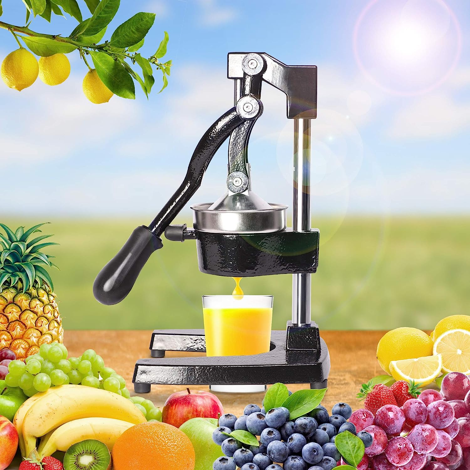 Manual Citrus Juicers, Professional Hand Press Orange Lemon Citrus Squeezer, Black