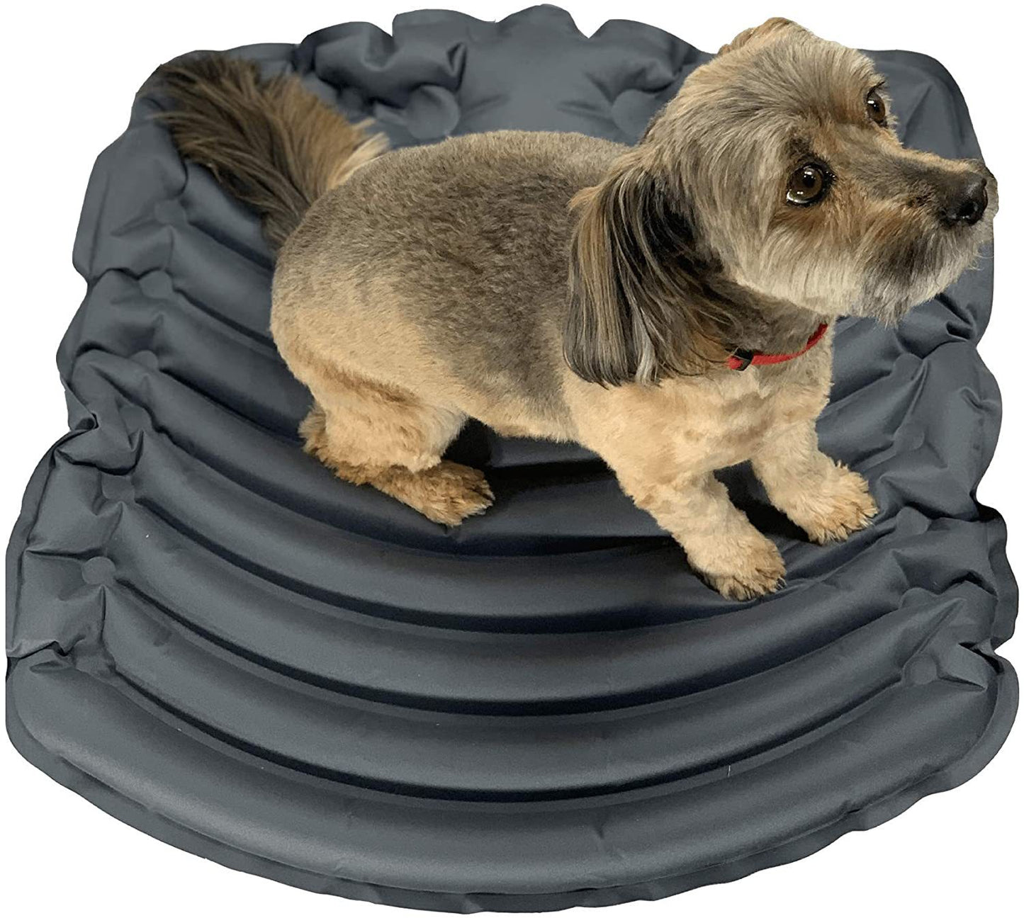 LONABR Inflatable Pet Beds, Easy to Carry and Store