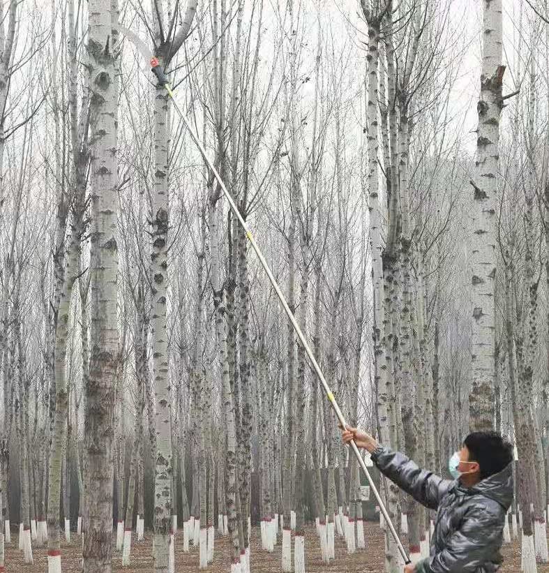 Vilobos Pole Saw for Tree Trimming, Long Extension Pruning Saw, Blade Tree Trimmer Pole, Manual Pole Cutter - Luckyermore