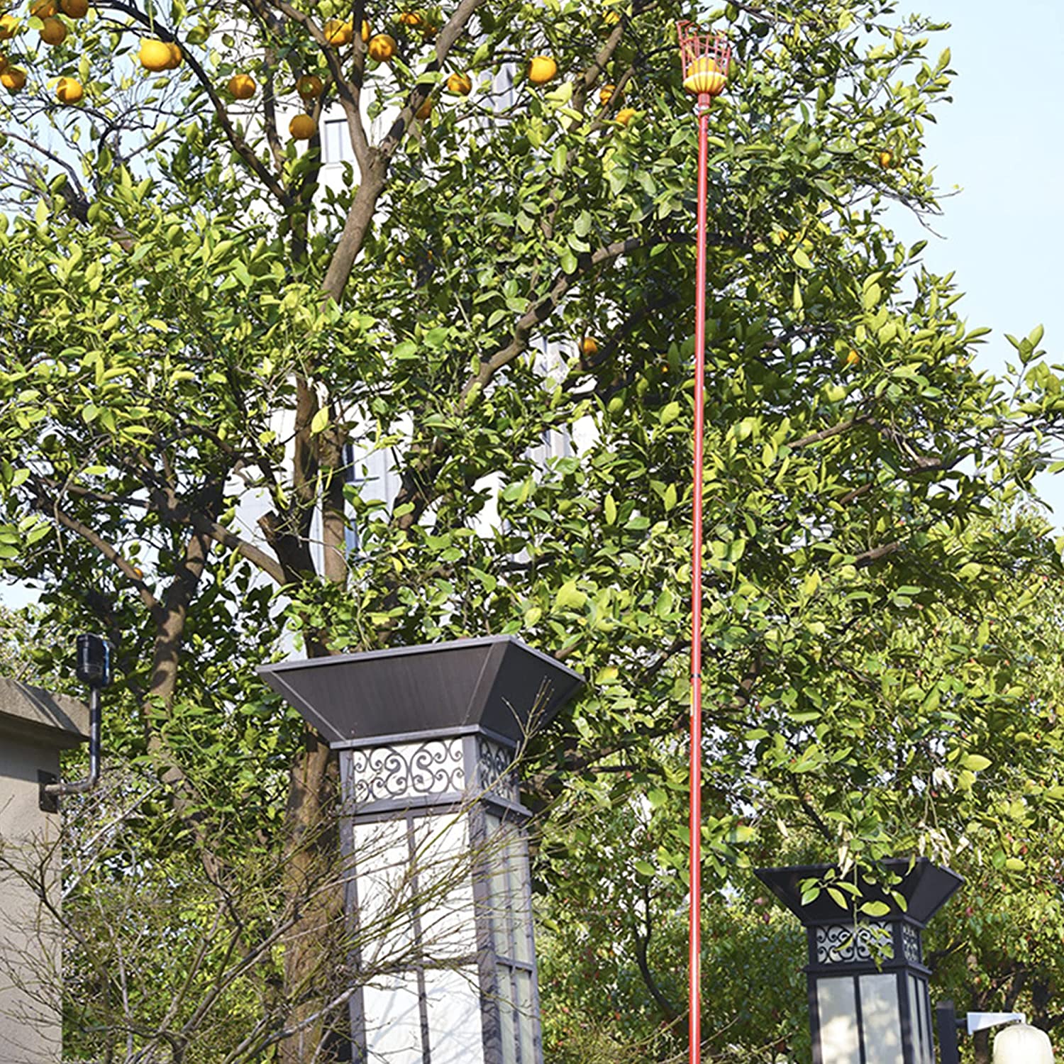 Vilobos Fruit Picker Pole with Basket Apple Orange Picker Tool Tree Fruit Catcher Fruit Picking Equipment for Getting Fruits Lemons Apples