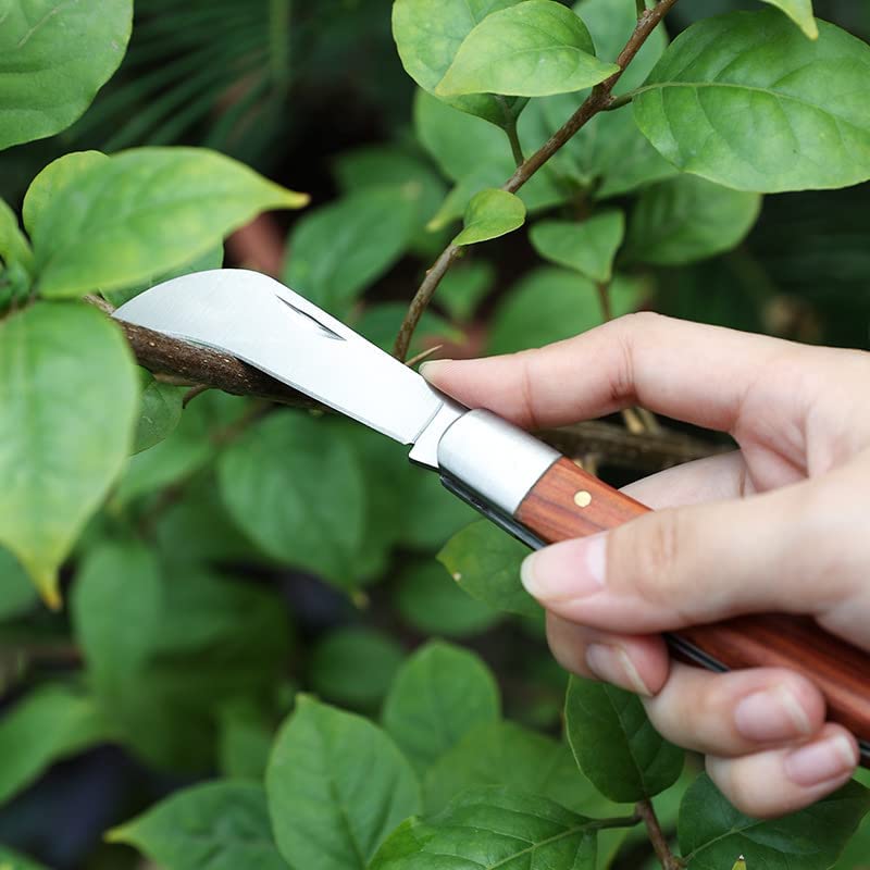 Vilobos Pruning Garden Knife Folding Pocket Knife for Pruning Budding Grafting Cutting Tool, Weed Bushes Mushroom Digging