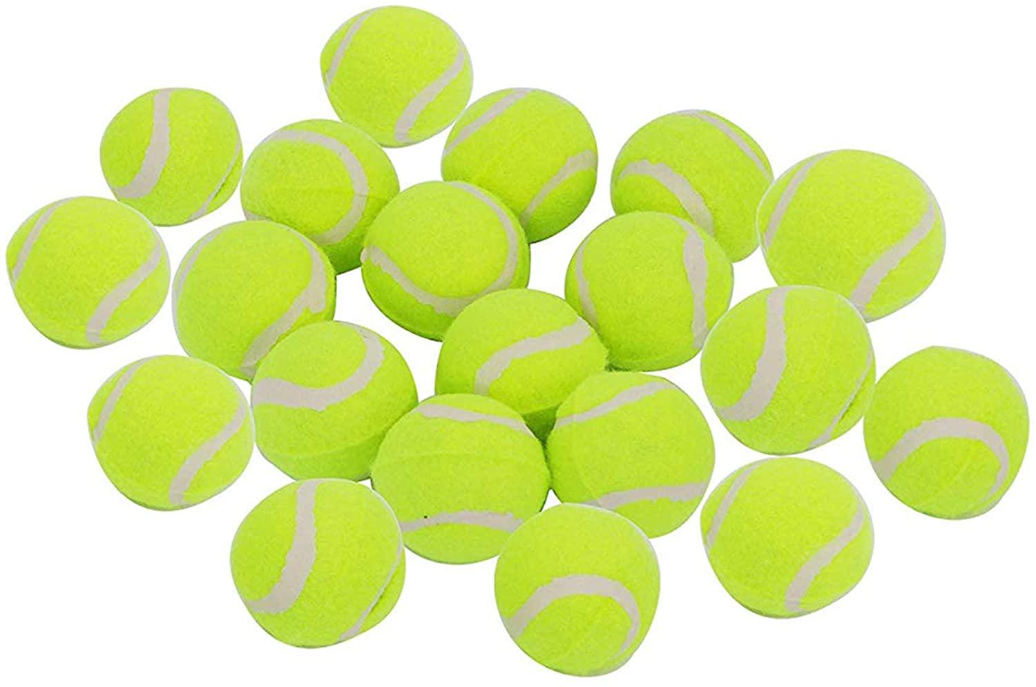 20 Pcs Pet Dog Tennis Ball Premium Fetch Toy 2 Inch Mini Tennis Ball for Puppy Small Dog - Luckyermore