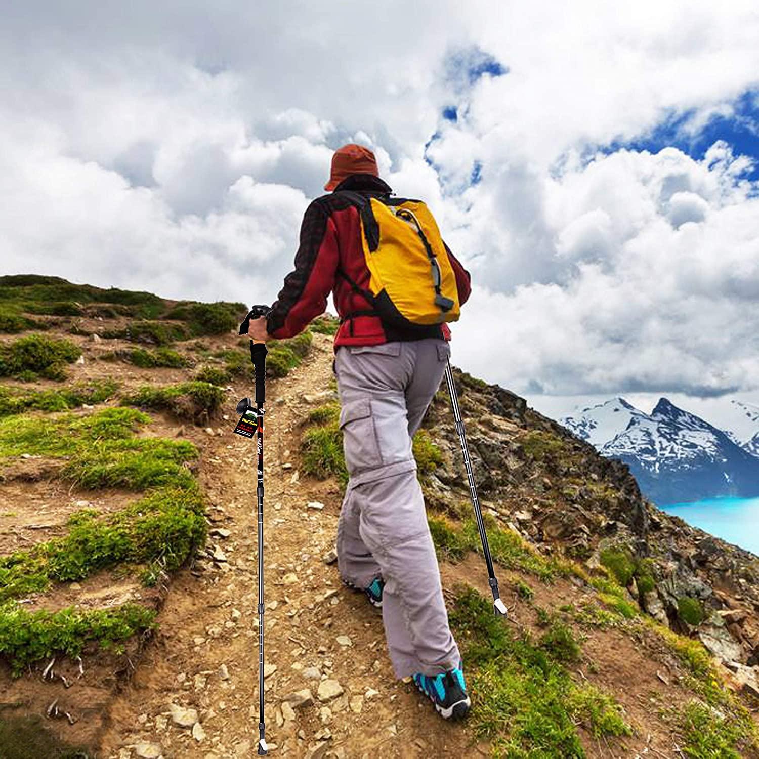 2 Pack Trekking Poles Collapsible Climbing Stick - Luckyermore